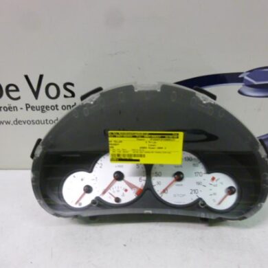 Peugeot 206 1.4 16V Odometer KM 2004 6105FC-6106FP