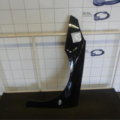 Peugeot 407 2.0 HDiF 16V Front wing, left 2007 7840P0