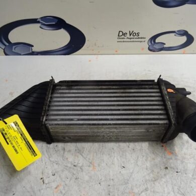 Peugeot Expert 2.0 HDi 120 Intercooler RHG 2010 0384P1