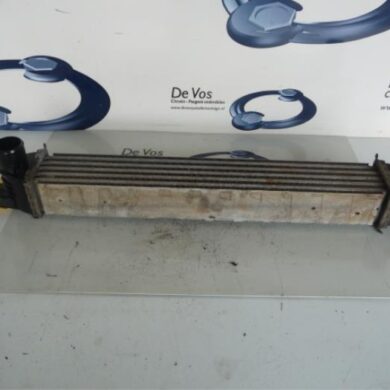 Citroen Nemo 1.3 HDi 75 Intercooler FHZ 2013 0384L7