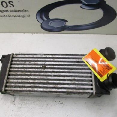 Citroen C4 Picasso 1.6 HDi 16V 110 Intercooler 9HZ 2009 0384L4