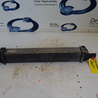 Peugeot Bipper  Intercooler FHZ 2011 0384L7