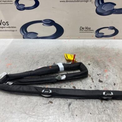 Peugeot 3008  Roof curtain airbag 2020 9811504380