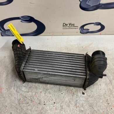 Peugeot 5008  Intercooler RHE 2010 0384P3