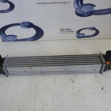 Peugeot Bipper 1.3 HDI Intercooler 199A9000-FHZ 2015 0384L7