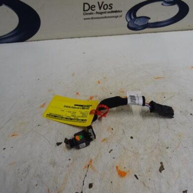 Citroen C4 Picasso  Achteruitrij Camera 2014 9801146580