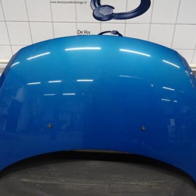 Peugeot 307  Bonnet 2007 7901L9