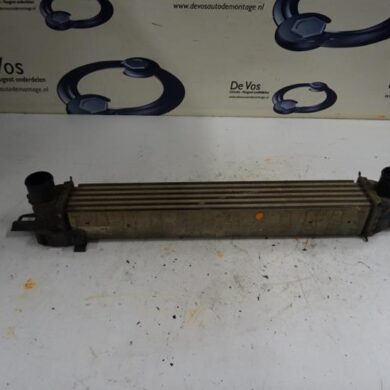 Peugeot Bipper  Intercooler FHZ 2013 0384L7
