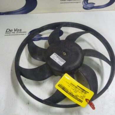 Citroen Nemo  Koelvin Motor 2011 1253P5-1616307480