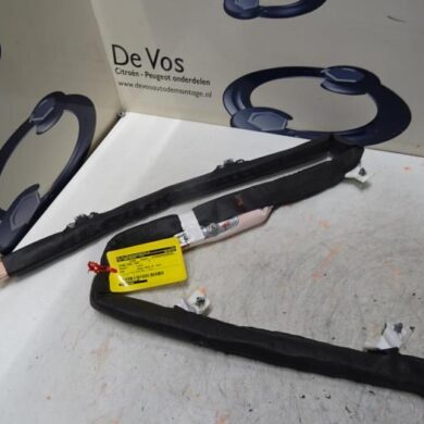 Peugeot 3008  Roof curtain airbag 2019 9811504380