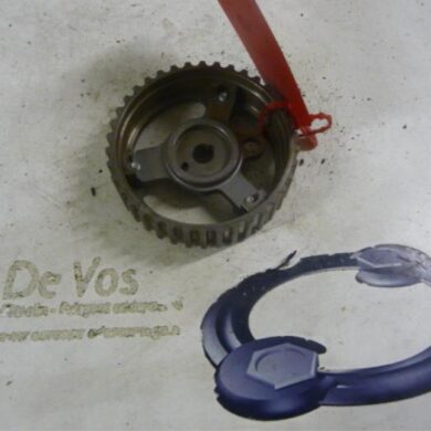 Peugeot 406  Nokkenas Tandwiel 2001