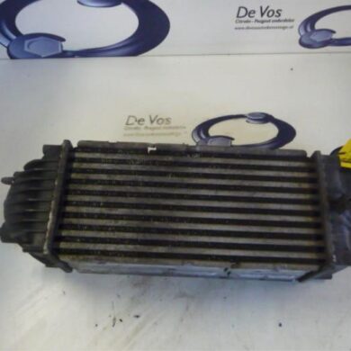 Citroen C4  Intercooler 9HY 2005 0384G4
