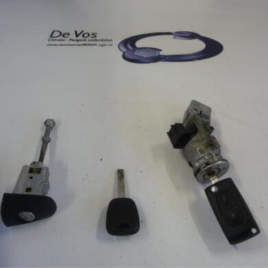 Citroen C3 Picasso 1.4 16V VTI 95 Slotenset Cilinder (compleet) 2013 4162SV