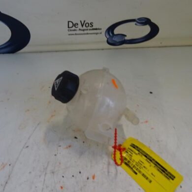 Citroen Berlingo  Expansion vessel 2017 1323X6