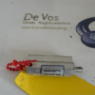 Peugeot 207  Convertible roof gas strut 2008 8446P8