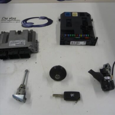 Peugeot 207  Engine management computer 8FP-8FP8F01 2010 1943VC-1943VE