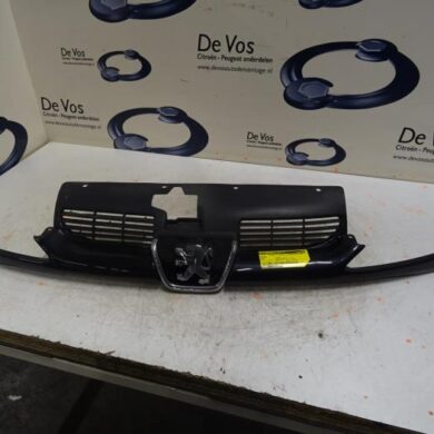 Peugeot 206 1.4 XR,XS,XT,Gentry Grille 2005 7804H4
