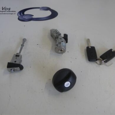 Citroen C3 Picasso  Slotenset Cilinder (compleet) 2014 4162SV