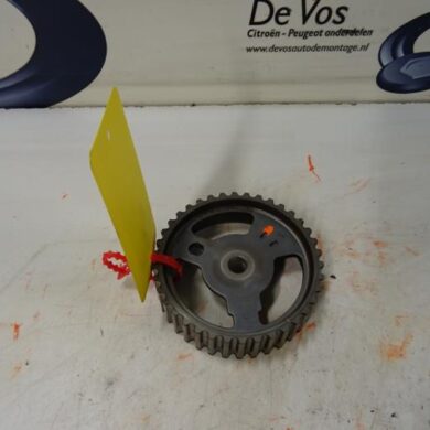 Citroen Picasso 2.0 16V Nokkenas Tandwiel RFN 2004 0805C5