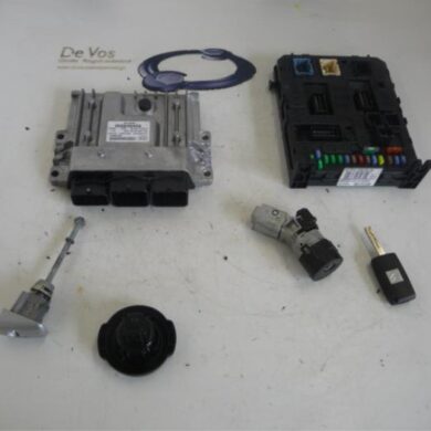 Citroen C5  Engine management computer RHH-RHHRH02 2010 1943TK