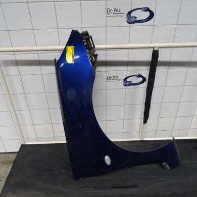 Peugeot 307 1.6 16V Scherm rechts-voor 2004 7841N7