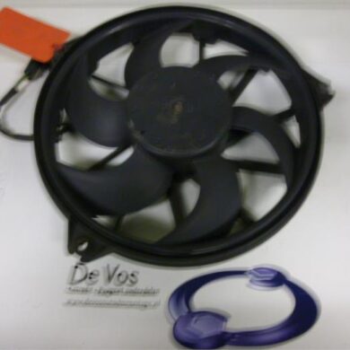 Citroen C8 2.0 HDi 16V Kühlgebläse Motor 2003 1253Q7-1250G7