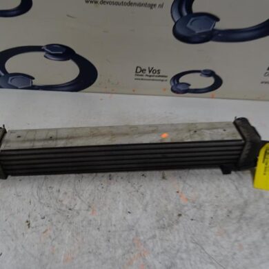 Citroen Nemo 1.3 HDi 75 Intercooler FHZ 2012 0384L7