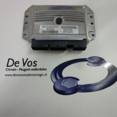 Peugeot 407 2.7 HDi V6 24V Suspension computer 2006 5273C2-5273H7