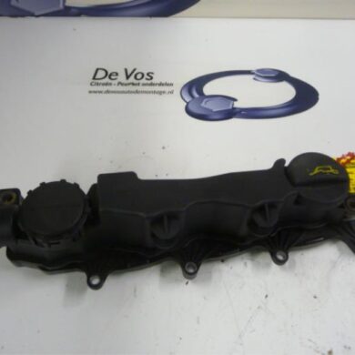 Citroen C4 Picasso  Kleppendeksel 9HZ 2009 0248L1