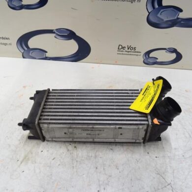 Peugeot RCZ  Intercooler 5FV-5FV5F02 2013 1440S8