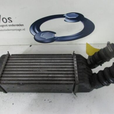 Peugeot 207 1.6 HDiF 16V Intercooler 9HZ 2009 0384J4