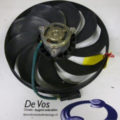 Citroen Berlingo 1.9 D Koelvin Motor 2003 1253A6