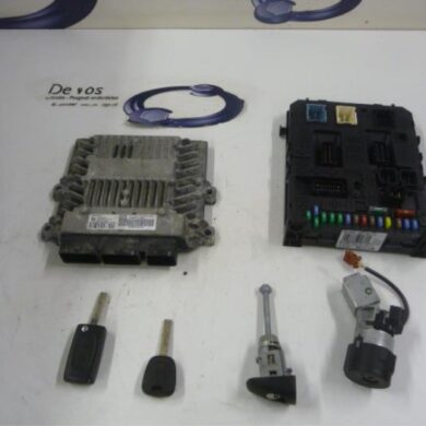 Peugeot Expert  Computer Motormanagement RHK 2010 1943GY-1609523880