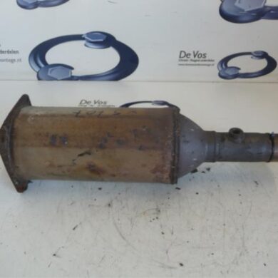 Peugeot 407  Particulate filter RHRRH01 2006 173808-174034-1731KE