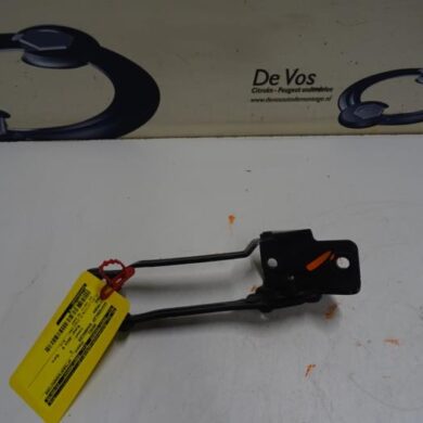 Citroen DS3  Scharnier Achterklep 2013 1609268880