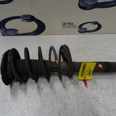 Peugeot 206 PLUS 1.4 XS Schokdemperpoot links-voor 2011 5202LV