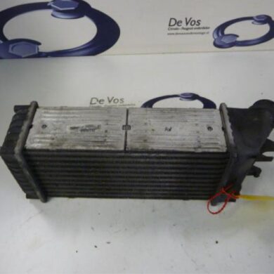 Peugeot Partner 1.6 HDI 75 Intercooler 9HW 2007 0384G5