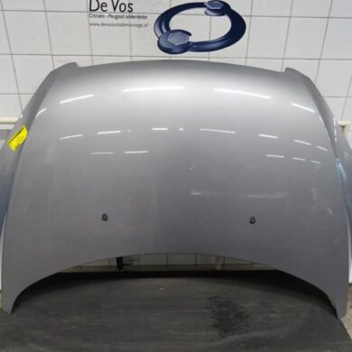 Peugeot 307 1.6 16V Motorkap 2005 7901J0