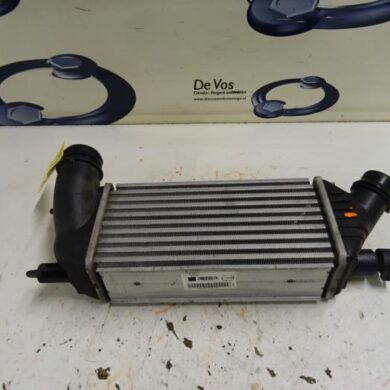 Citroen Jumpy  Intercooler RH02-RHHRH02 2014 0384PZ