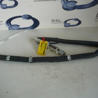Peugeot 407  Roof curtain airbag 2006 8331P7
