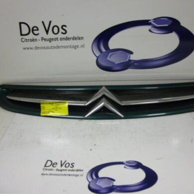 Citroen Picasso  Grille 2000 7804J7