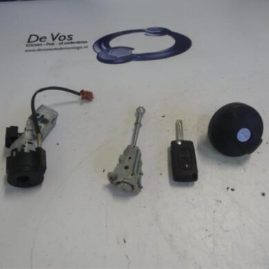 Citroen C3 Picasso  Slotenset Cilinder (compleet) 2012 4162SV