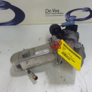 Peugeot 508  EGR valve RHH 2011 1618NQ