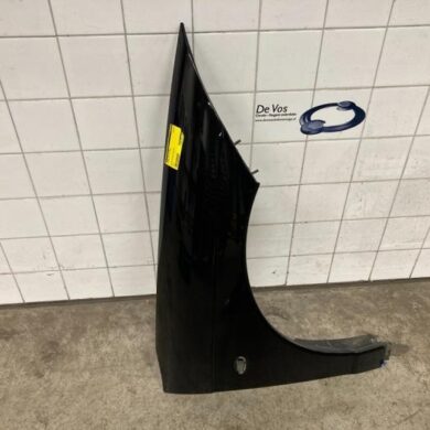 Citroen C6 3.0 HDiF V6 24V Scherm rechts-voor 2011 7841S0