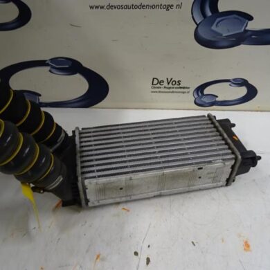 Peugeot 3008  Intercooler BHZ-BHZBH01 2016 9800291280