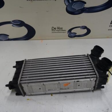 Peugeot 3008  Intercooler 9HD-9HD9H05 2013 0384N9