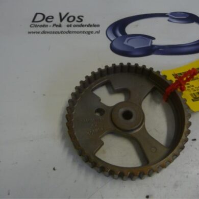 Citroen C4 Cactus  Nokkenas Tandwiel BHYBH02 2014 9804493380-1613181480