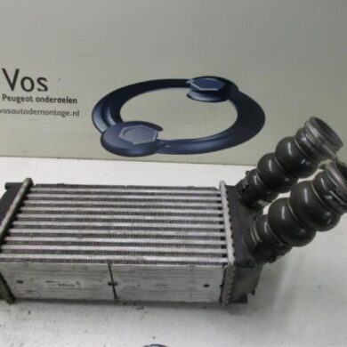 Citroen C4 Picasso 1.6 HDi 16V 110 Intercooler 9HZ 2007 0384H5