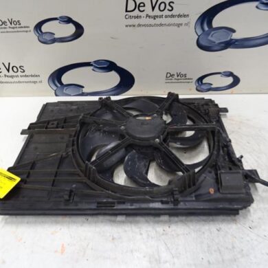 Citroen C4 Picasso  Kühlgebläsegehäuse 2014 9806313280