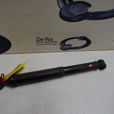 Citroen C3 Aircross  Stoßdämpfer links hinten 2019 9821016680